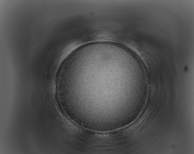 X0000097961415200804011647