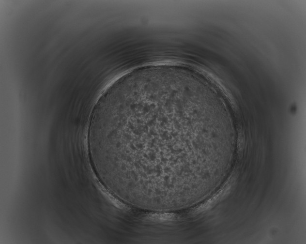 X0000097961417200804011647