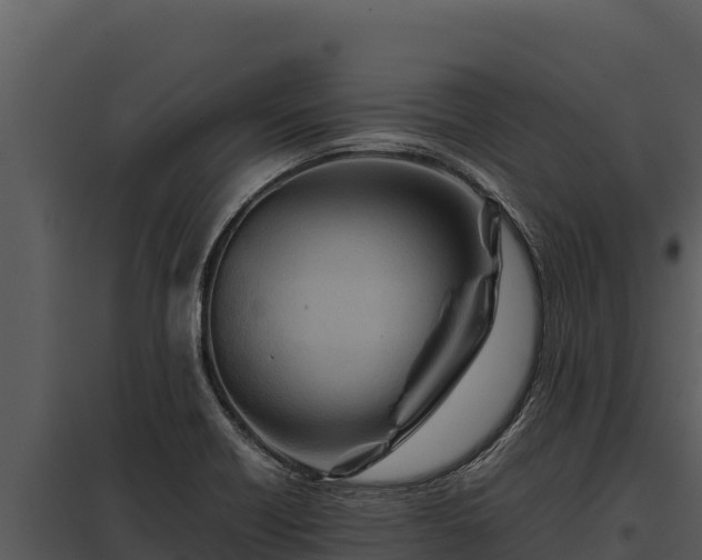 X0000097961418200804011647