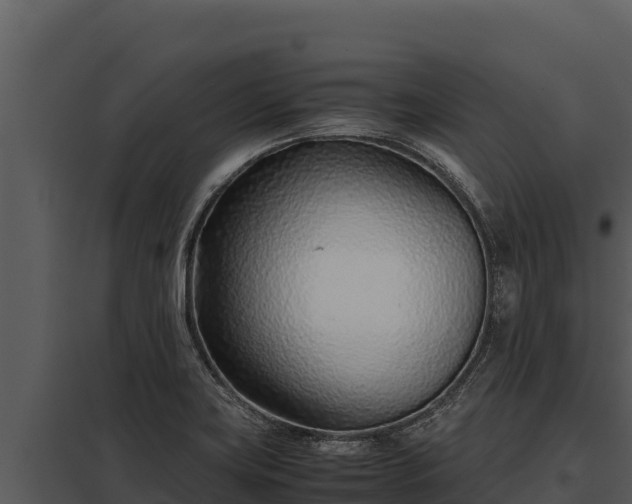 X0000097961419200804011647