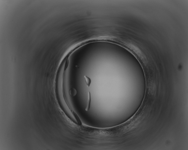 X0000097961420200804011647