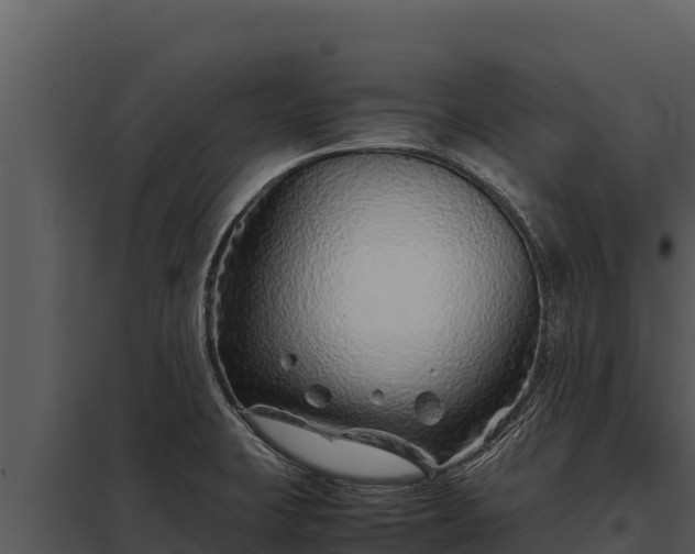 X0000097961423200804011648