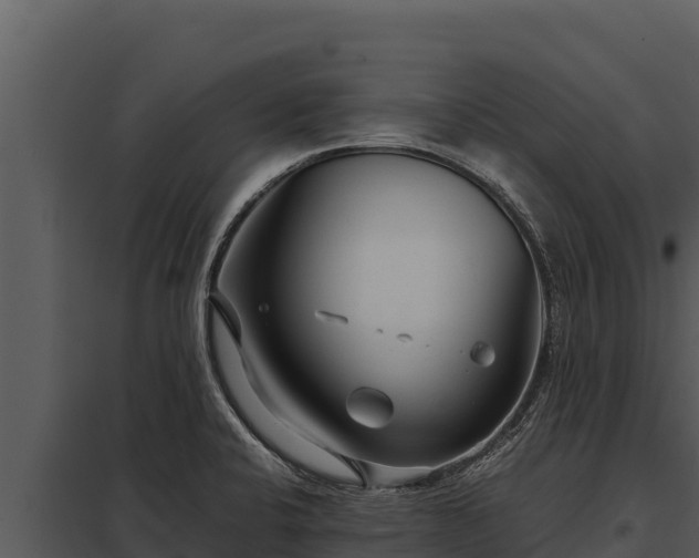 X0000097961424200804011648