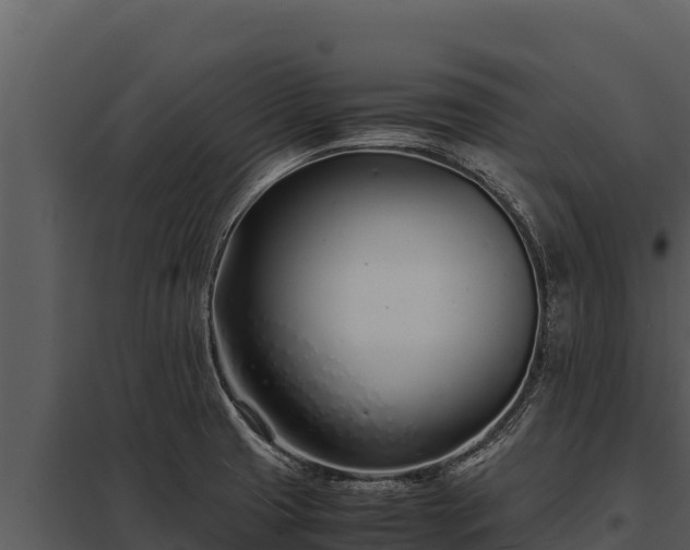 X0000097961425200804011648