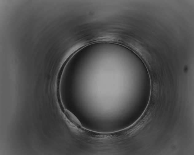 X0000097961426200804011648