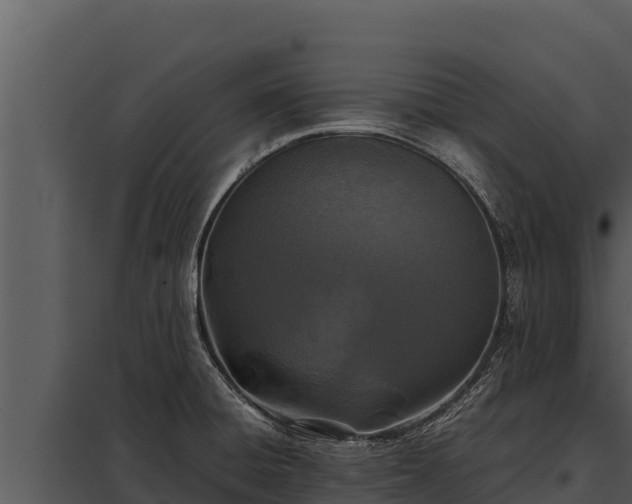 X0000097961428200804011648