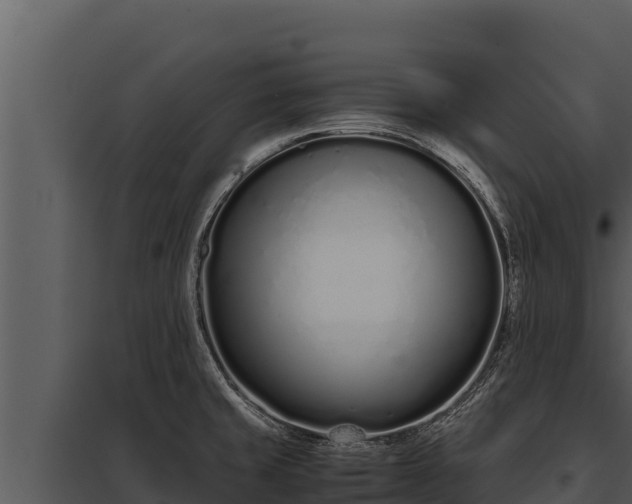 X0000097961429200804011648
