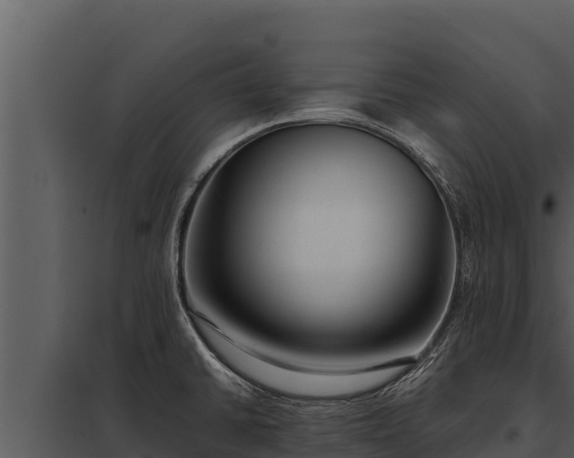 X0000097961430200804011648