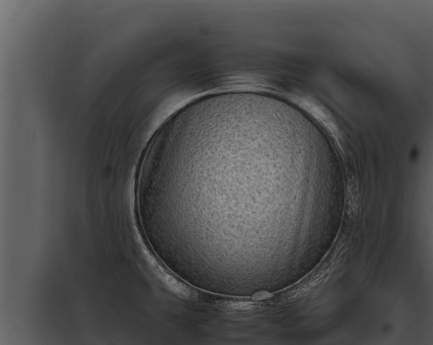 X0000097961431200804011648