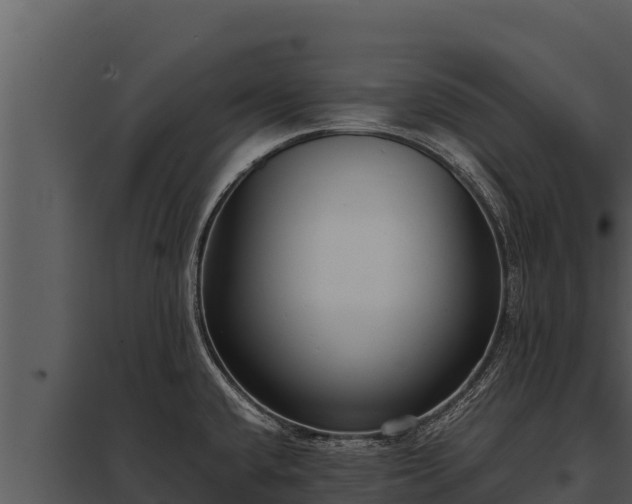 X0000097961432200804011648