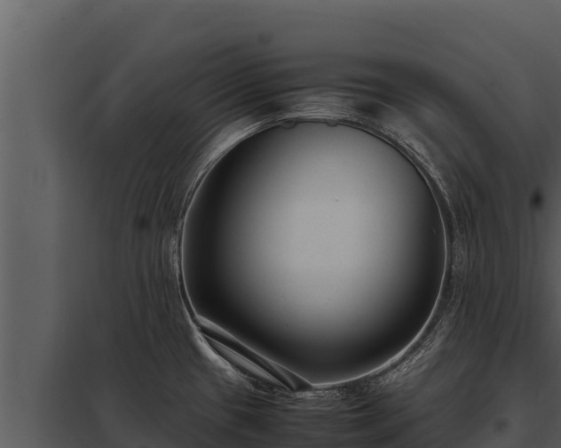 X0000097961433200804011648