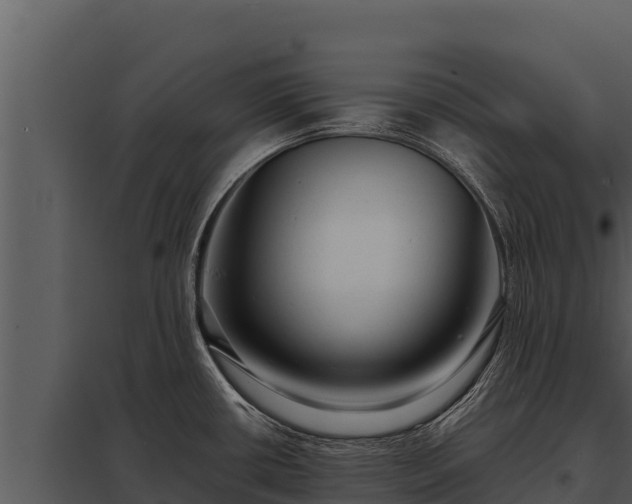 X0000097961434200804011648