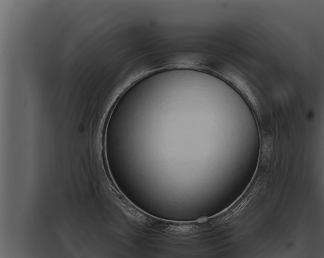 X0000097961435200804011648