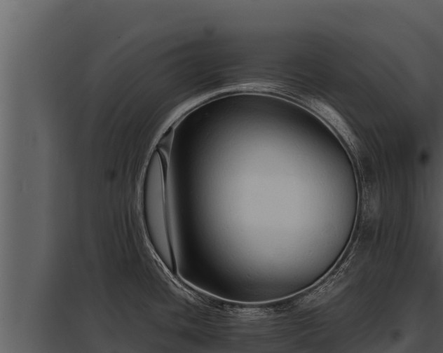 X0000097961436200804011648