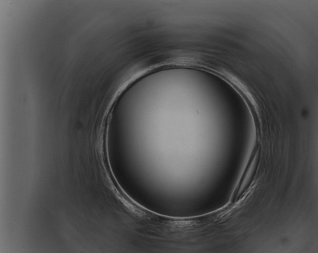 X0000097961437200804011648