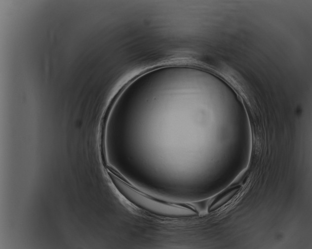 X0000097961438200804011648