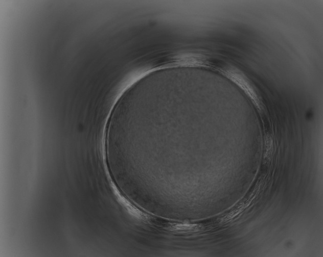 X0000097961439200804011648
