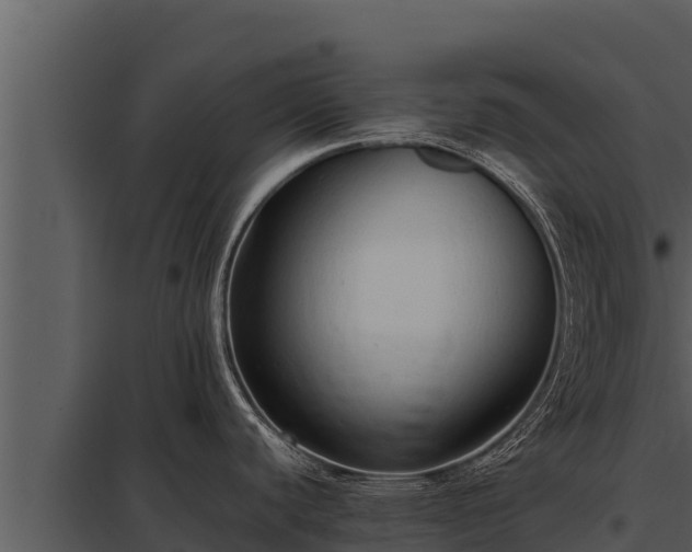 X0000097961440200804011648