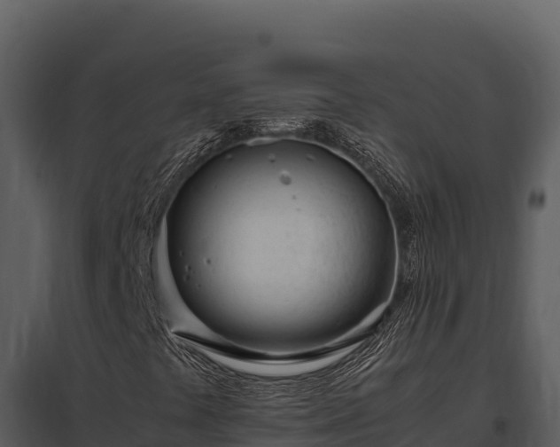 X0000097961441200804011647