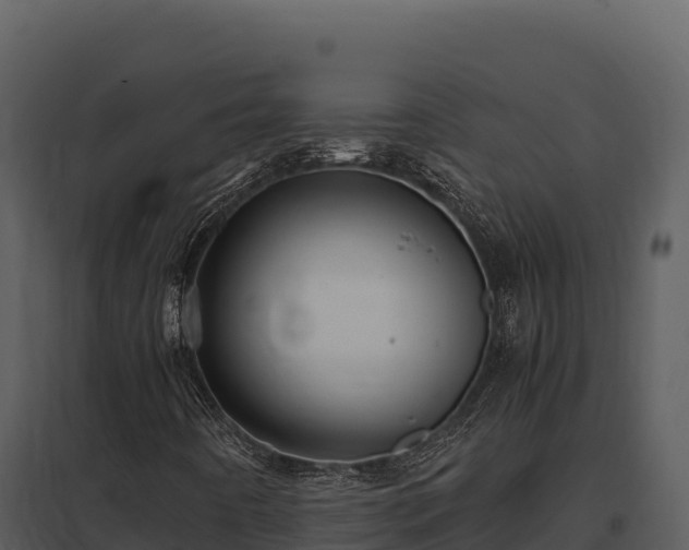 X0000097961442200804011647