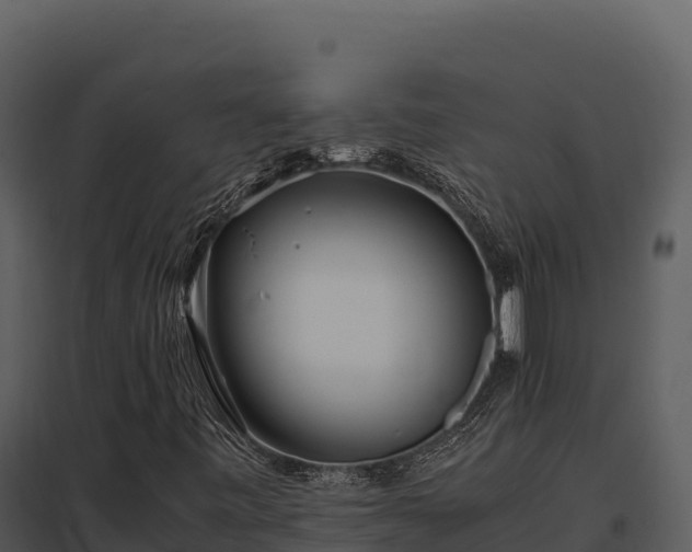 X0000097961443200804011647