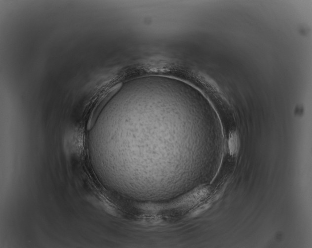 X0000097961444200804011647