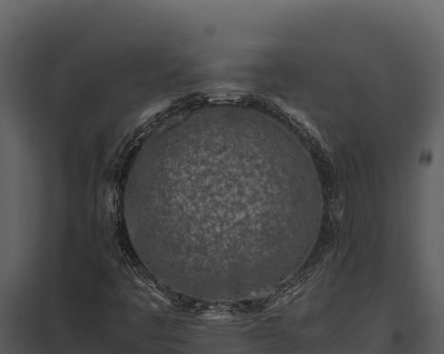 X0000097961445200804011647
