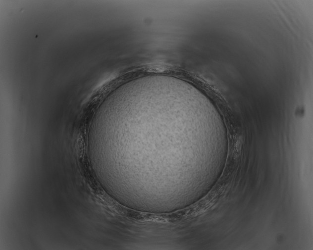 X0000097961446200804011647