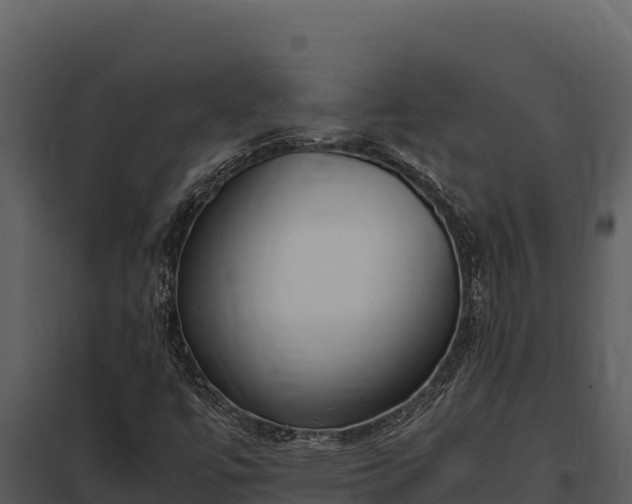 X0000097961447200804011647