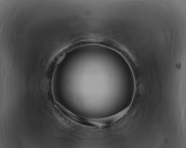 X0000097961448200804011647