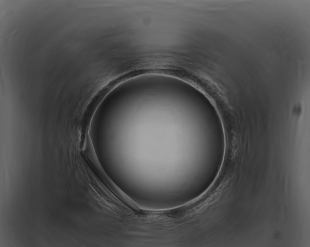X0000097961449200804011647