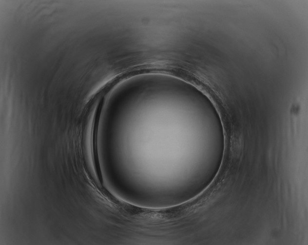 X0000097961450200804011647