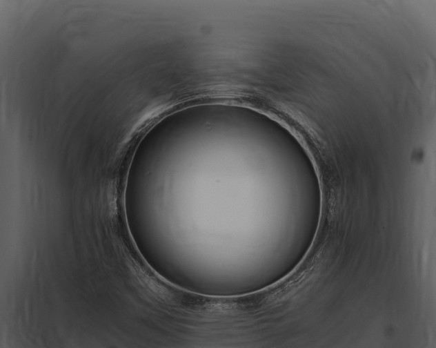 X0000097961451200804011647