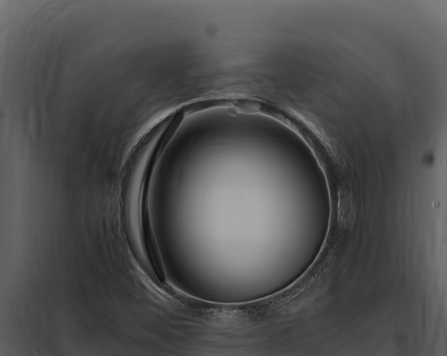X0000097961452200804011647