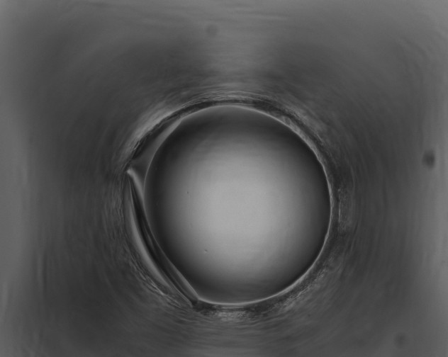 X0000097961453200804011647