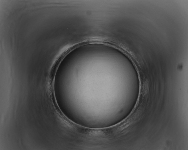 X0000097961454200804011647