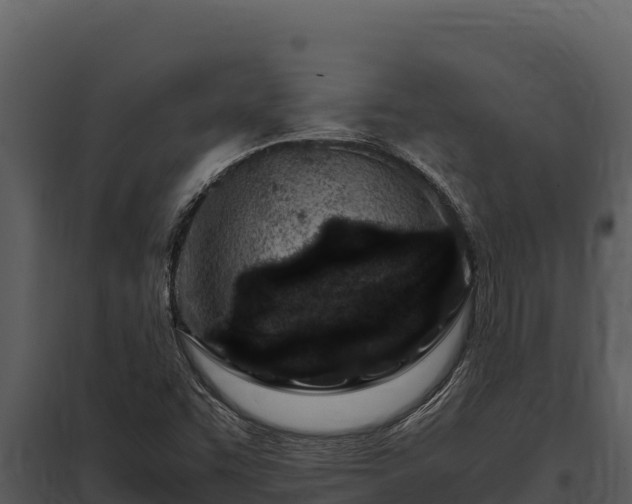 X0000097961455200804011647