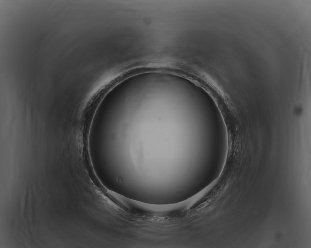 X0000097961456200804011647