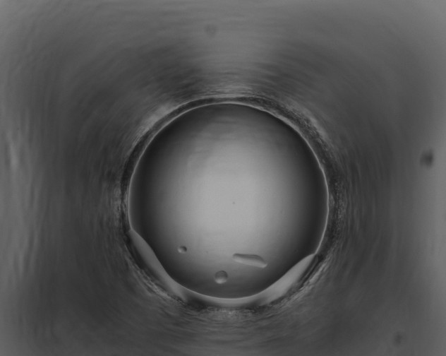 X0000097961457200804011647