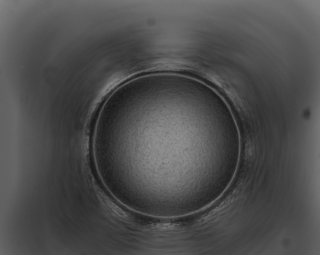 X0000097961459200804011647