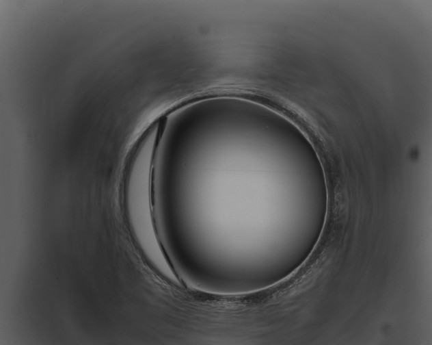 X0000097961461200804011647