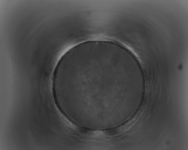 X0000097961463200804011647