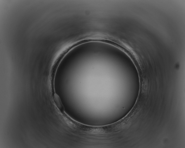 X0000097961464200804011647