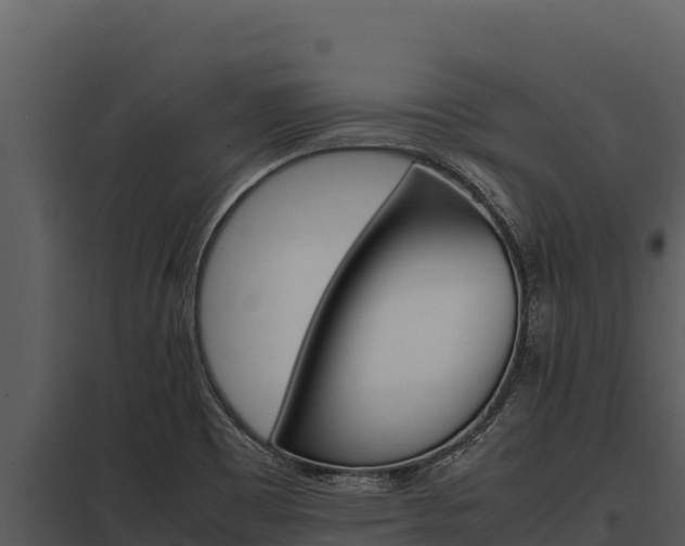 X0000097961465200804011647