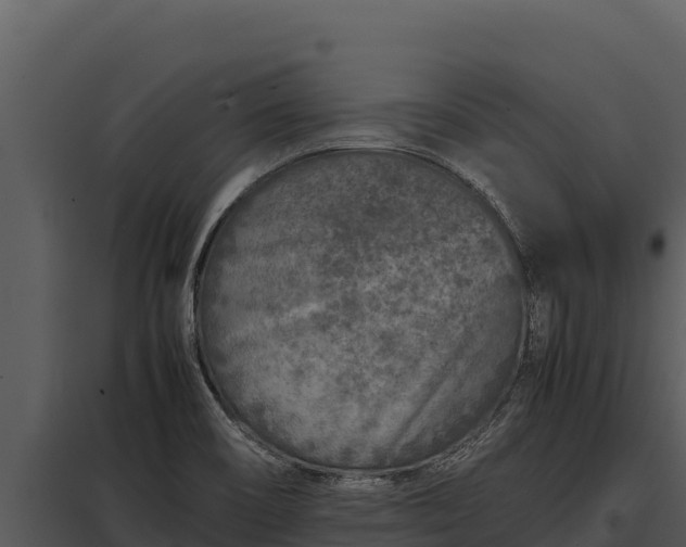 X0000097961466200804011647