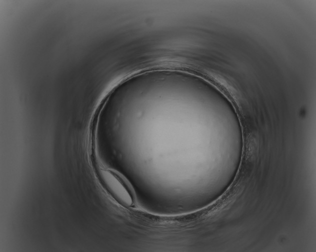 X0000097961467200804011647