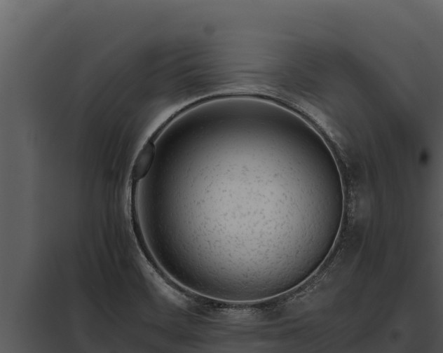 X0000097961468200804011647