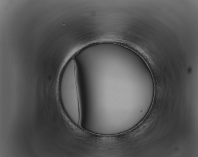 X0000097961469200804011647