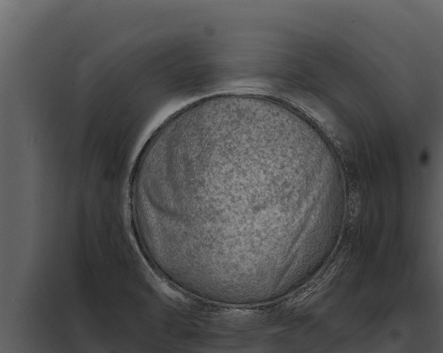 X0000097961470200804011647