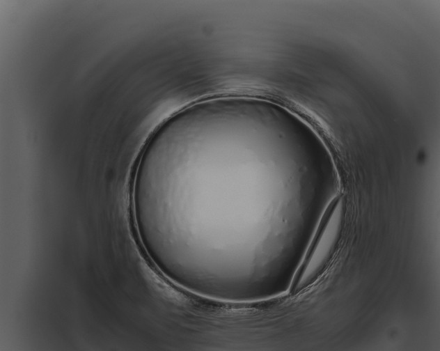X0000097961471200804011647